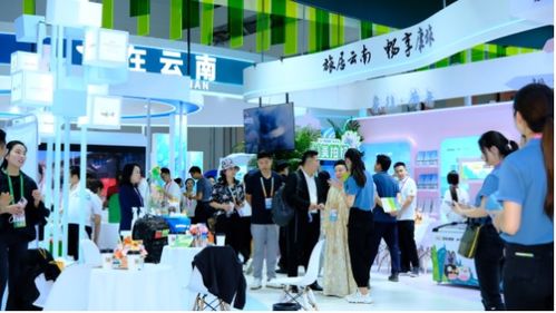 旅居云南的愜意生活 云南康旅集團持續布局南博會展服務