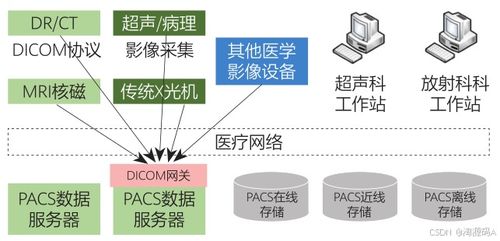 數字化醫學影像系統PACS 源碼解析、影像存儲與傳輸及三維重建功能