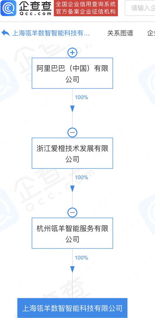 阿里巴巴加碼數智科技 瓴羊數智科技公司在滬成立，深耕數據處理與存儲服務新藍海